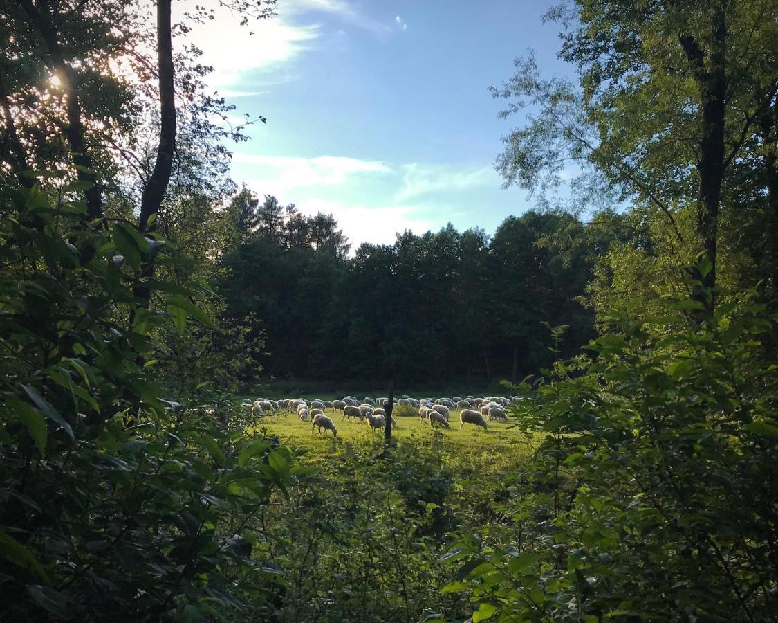 Domki Nad Pilica Krzetow Exterior foto