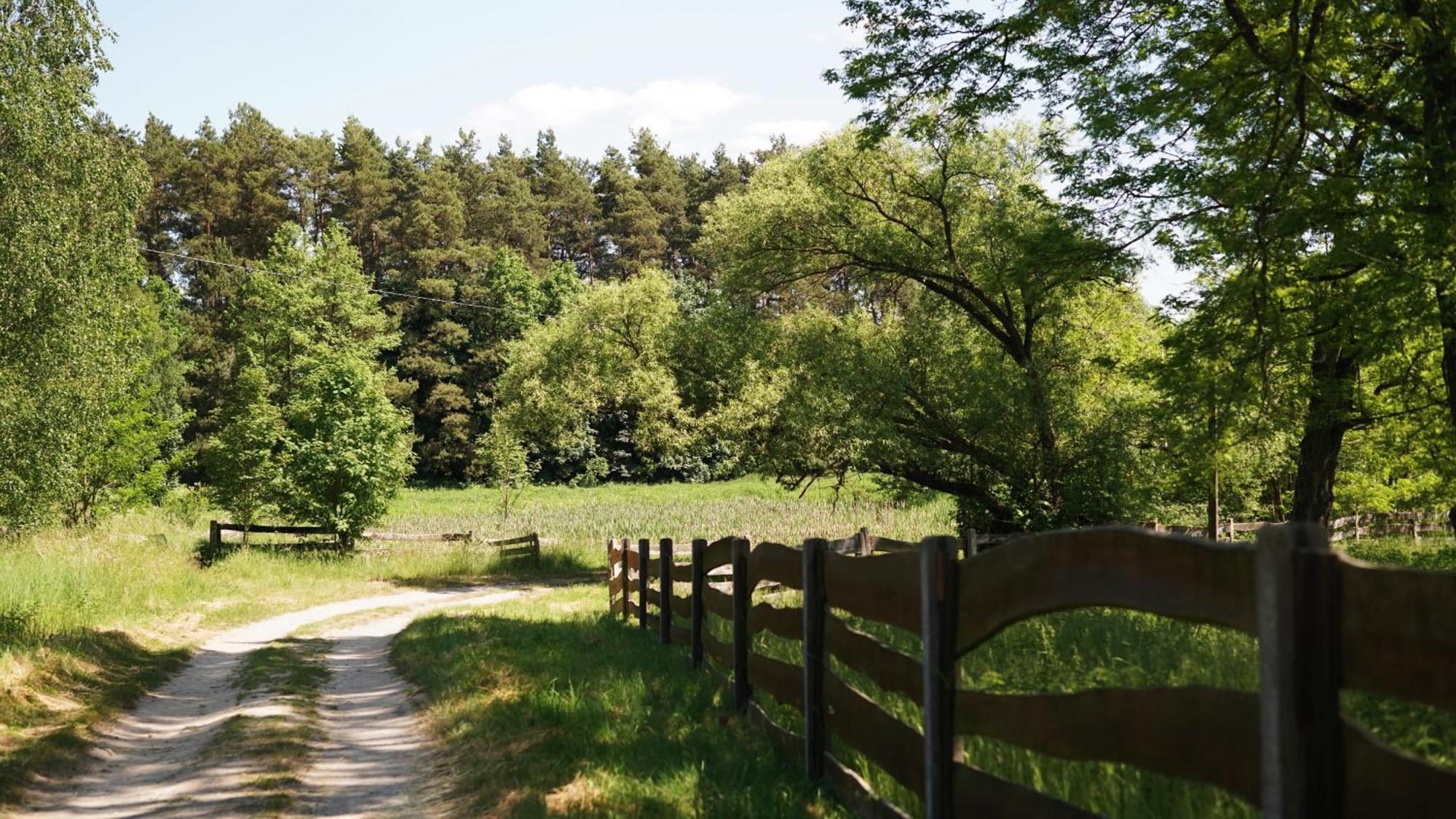 Domki Nad Pilica Krzetow Exterior foto
